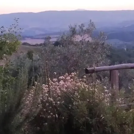 Casa Vacanza In Casale Vicino Orvieto Ficulle Exterior photo