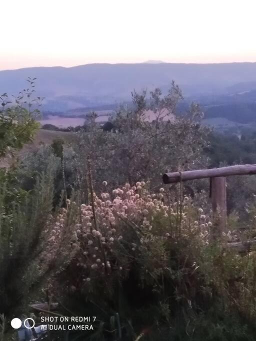 Casa In Casale Vicino Orvieto Holiday home