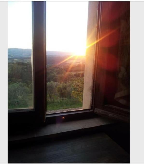 Casa In Casale Vicino Orvieto Holiday home *